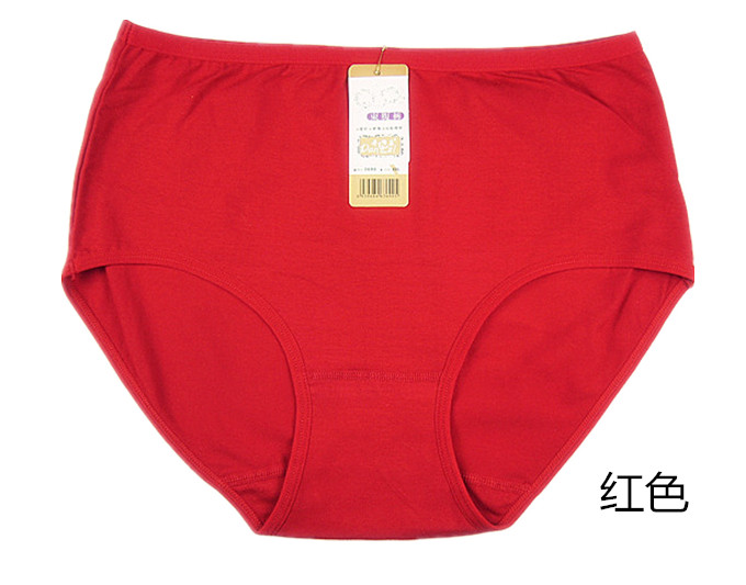 Slip simple en coton - Ref 644604 Image 36