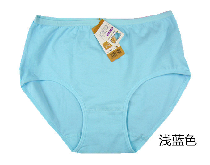 Slip simple en coton - Ref 644604 Image 26