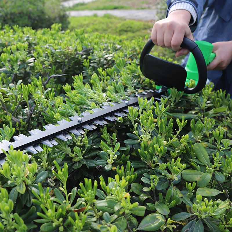 Fujiwara electric pruning machine tea landscaping garden fence shears pruning branches portable rechargeable pruning machine