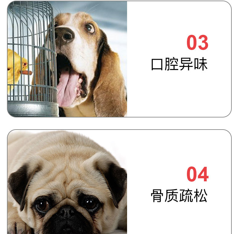 3 gói cơm gà trên toàn quốc + que rau 800g chó ăn vặt nhai răng hàm - Đồ ăn vặt cho chó thức an cho chó bao 10kg