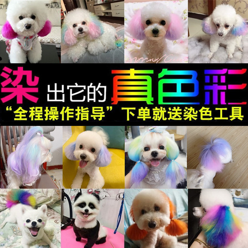 Dog hair dye dog hair dye pets special white than bear teddy animal hair dye toilet bauxin