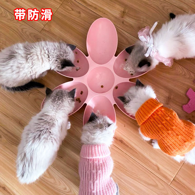 Cat Bowl, Kitten Bowl, Stray Cat Feeding Bowl, Petal-Shaped Bowl, Anti-Spill Bowl for Kittens, Dog Bowl, Dog Dish, Multi-Cat Food Bowl