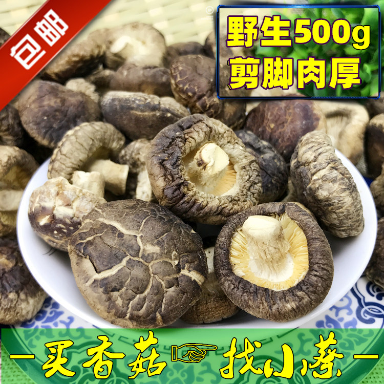 Special Produce Mushrooms Dry Goods Farmhouse Self-Prolific Money Mushrooms Quality Linen Wood Cut Foot Edible Mushrooms Home Winter Mushrooms 500g