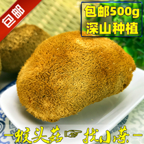 Deep Mountain Monkey Head Mushrooms Dry Goods Northeast Farmhouse Monkey Head Bacteria Half Farmhouse Long White Mountain Special Produce 500g