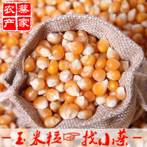 Home Commercial New Corn Butterfly Popcorn Homemade Special Corn Grain Homemade Bract Rice Grain Raw Material 
