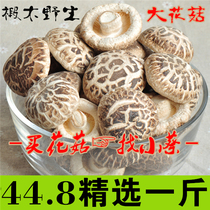 Basswood dried shiitake mushrooms big flower mushrooms high-quality farm dried goods authentic farm mushrooms 500g specialty cut feet thick meat