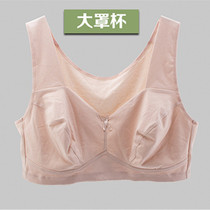 Middle-aged and elderly people without steel ring underwear vest style plus fat plus Daquan cup bra pure cotton fat thin mold cup bra