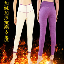 Ladies warm pants plus velvet padded trousers cotton stretch tight wool wool pants high waist slim cotton pants