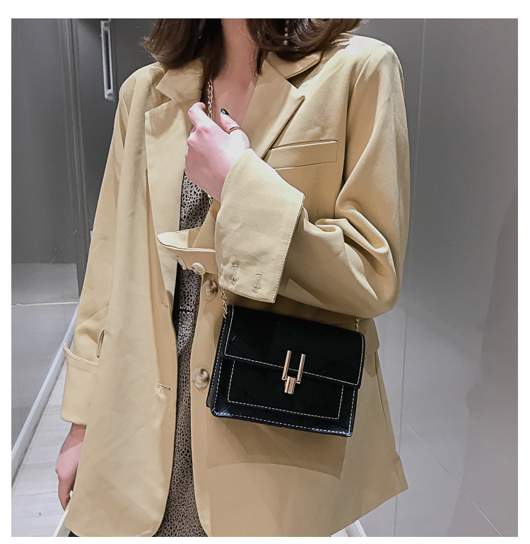 Bolso Pequeño De Verano Para Mujer 2020 Nuevo Bolso De Hombro Estilo Hong Kong Que Combina Con Todo, Bolso Oblicuo Estilo Coreano, Elegante Bolso Cuadrado Pequeño Con Costura Láser display picture 24