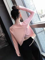 Sports t-shirt womens loose summer quick-drying running slim slim blouse Yoga top fashion long-sleeved fitness clothes