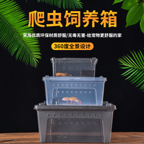 Reptile climbing pet spider Guardian lizard Scorpion Centipede Horned frog Turtle Snail turtle feeding box Pet snake feeding box