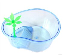 Box Coconut island box Reptile Transparent box Reptile special amphibian special