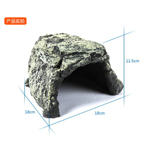 Reptile dodges nest Turtle dodges cave Spider Scorpion Palace guard Jingshan Cave Turtle basking platform