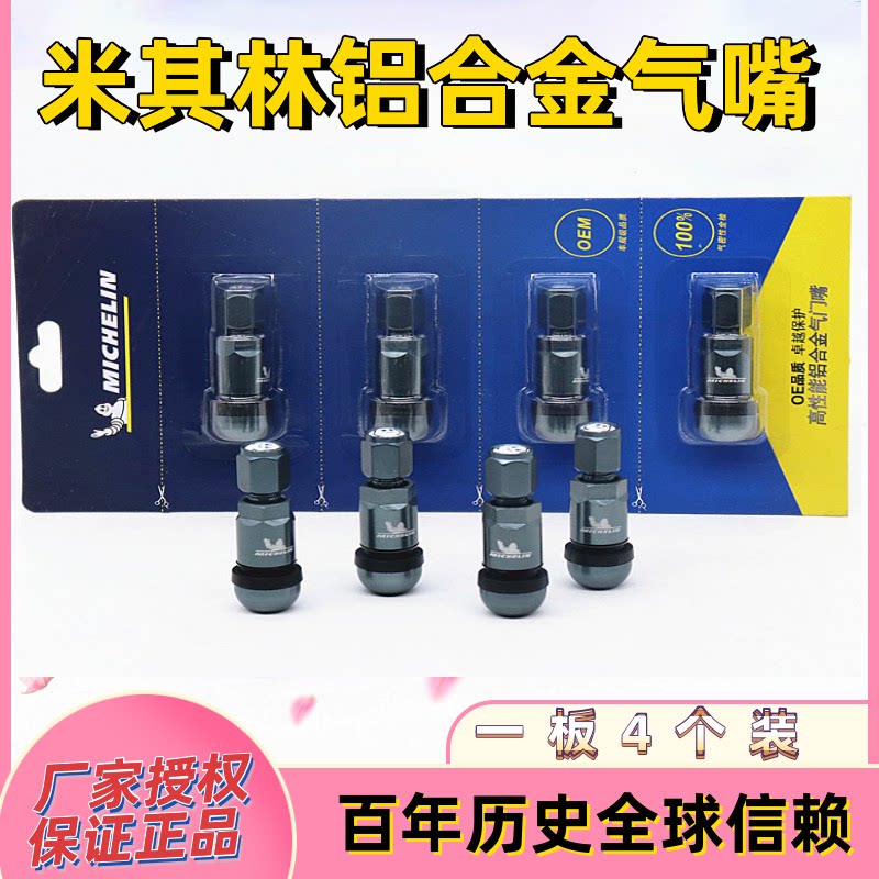 Michelin aluminum alloy explosion-proof valve nozzle authorized commercial car tires vacuum mouth