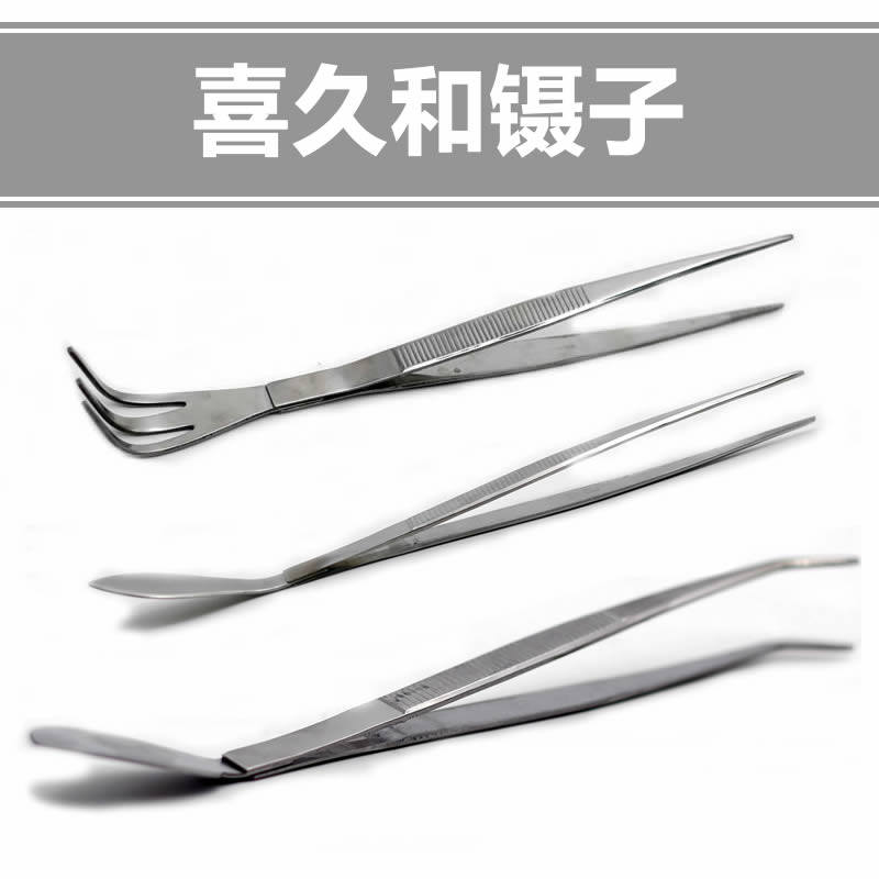 Kikuwa Gardening tools made in Japan Elbow straight head Tweezers Bear hand Bonsai potted succulents Stainless steel