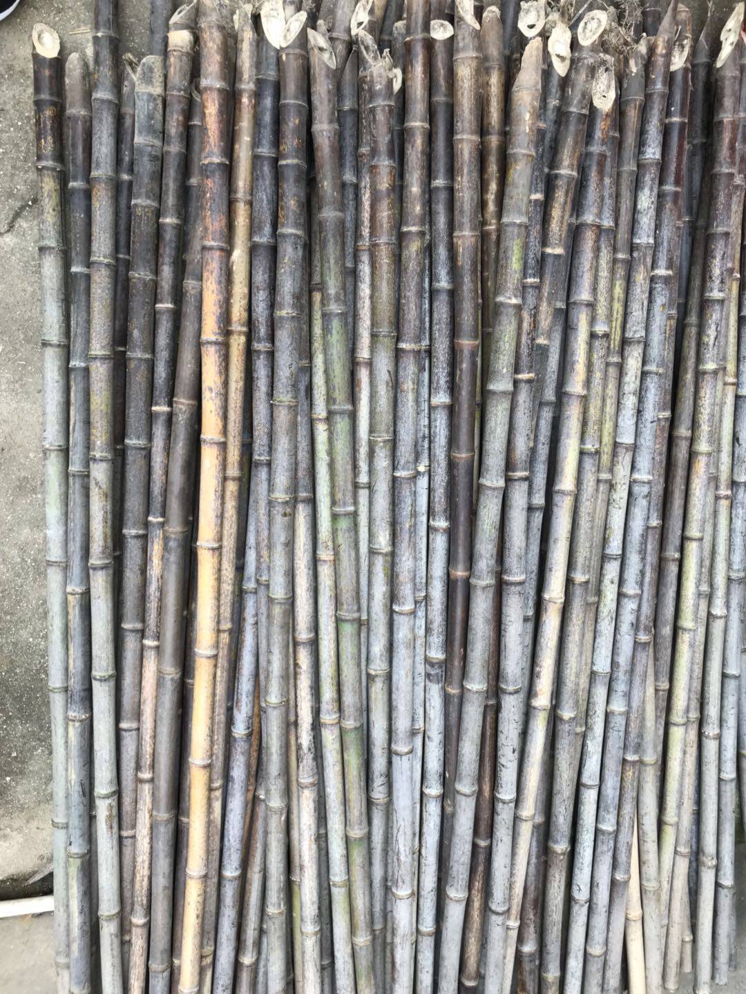 The Purple Bamboo Flute stock is expected to be in stock