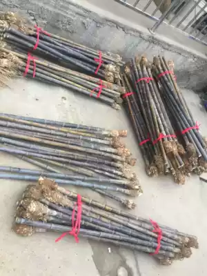 Zizhu belt and Xiao material