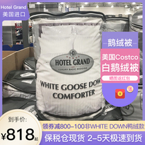 United States Costco Hotel Grand European White feather goose down quilt 500 thread cotton five-star winter quilt