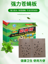 Powerful Sticky Fly board Sticky Trap sticky insect board Fly Paper Mucus Fly Paper Gods Home Kstar One sweep of the Fly Mucus Fly