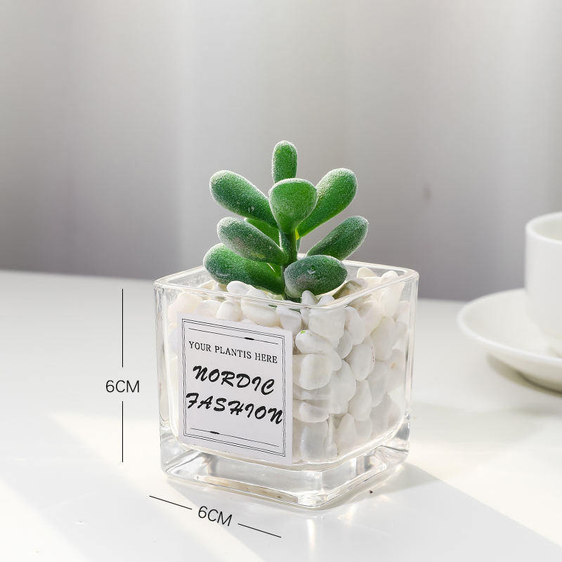 Prickly Pearsimulation Green plants small pot office desktop a decoration Mini cactus Succulent decorate artificial flower a living room Ornaments