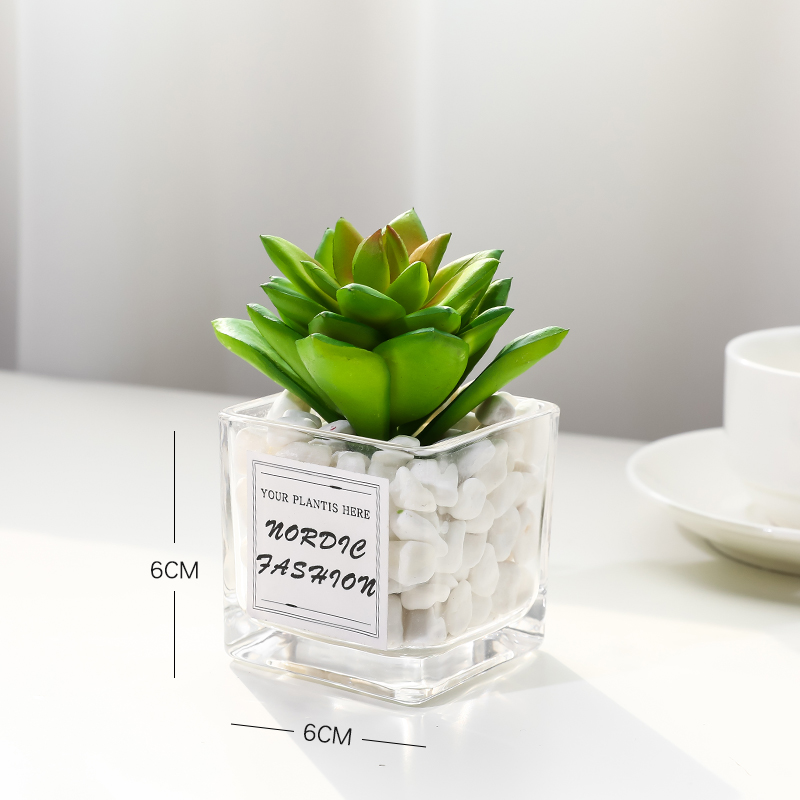 Thick Stone Lotussimulation Green plants small pot office desktop a decoration Mini cactus Succulent decorate artificial flower a living room Ornaments