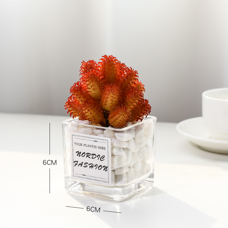Hongmaoguosimulation Green plants small pot office desktop a decoration Mini cactus Succulent decorate artificial flower a living room Ornaments