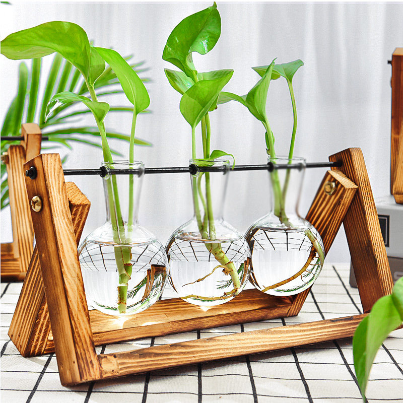 Creative Wood Shelf Hydroponic Plant Glass Vase Tabletop Decorations Office Pendulum Water Peels Gold Gge Flower Arrangement Container