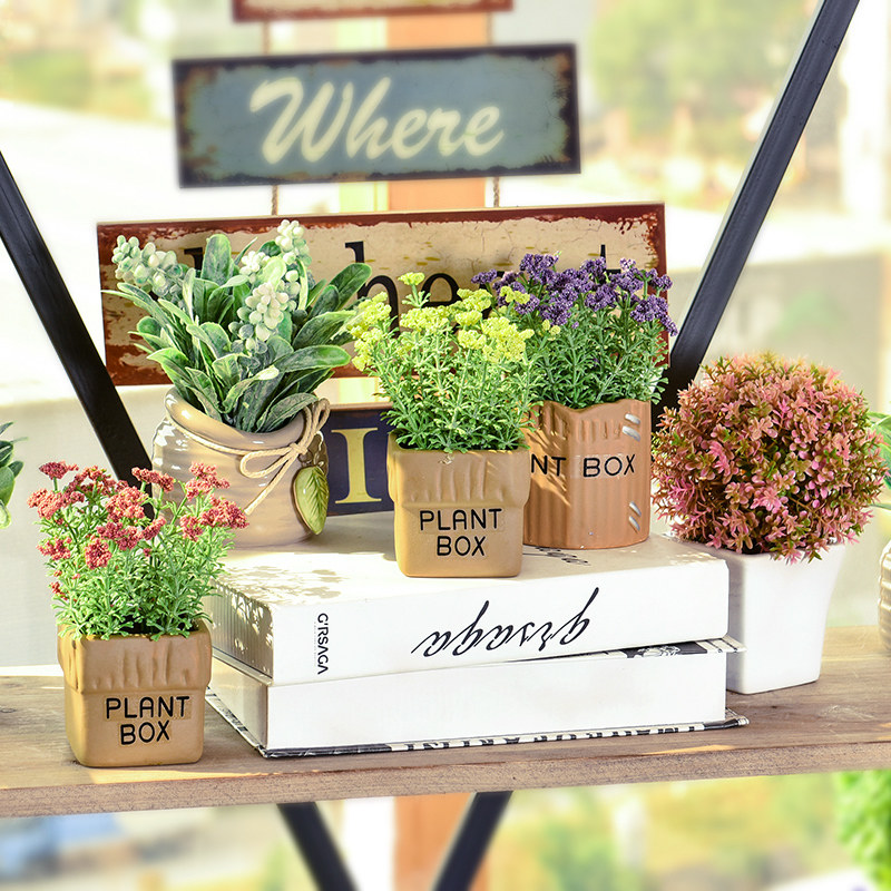 Simulation multi-meat plant small potted house furnishing small bonsai suit indoor living-room green plant decoration pendulum piece