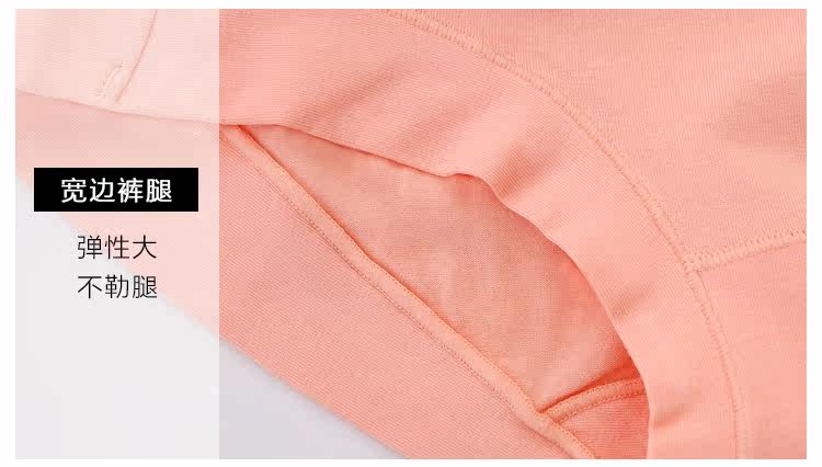 Slip jeunesse simple en coton - Ref 653790 Image 20