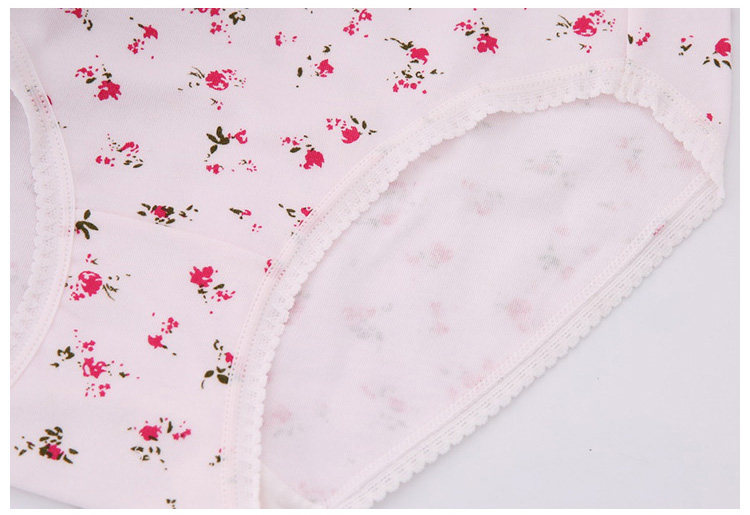 Slip Moyen-âge simple en coton - Ref 646664 Image 19