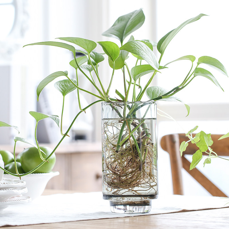 Bixuanŷʽ͸������С��ƿ