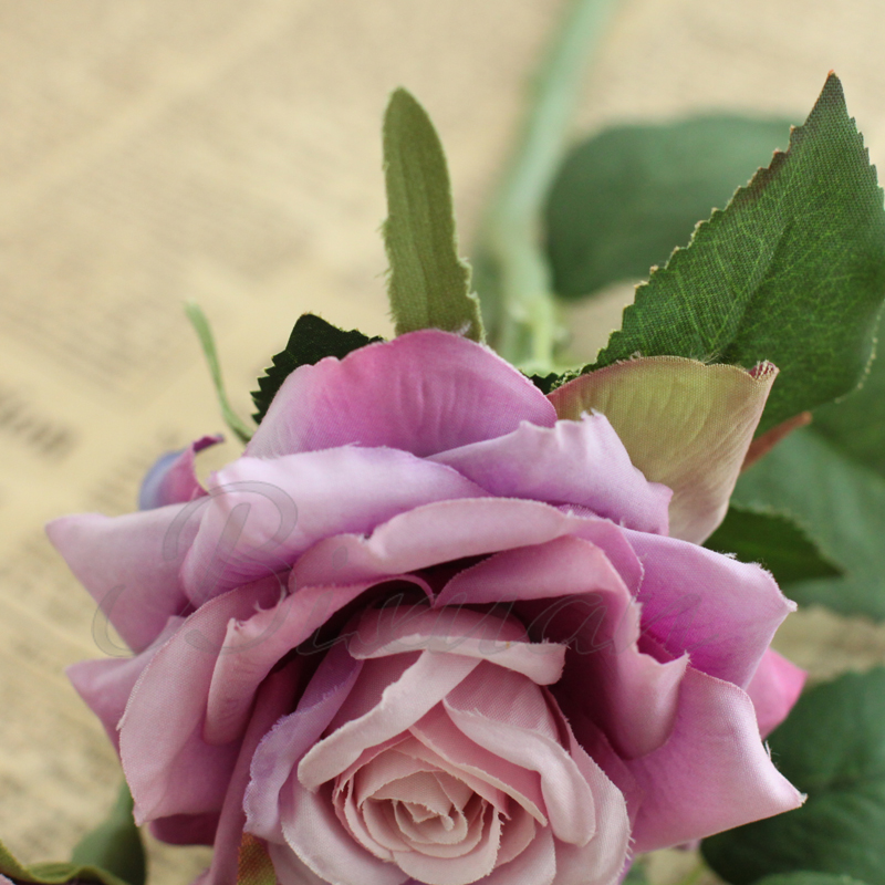 Bixuanŷʽ�߷���ɻ�