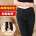 Cao eo mùa xuân và mùa thu mỏng phần lưới quần legging giả thịt cộng với nhung dày chống chân quần lụa quần dài màu mỏng cỡ lớn áo phông nữ có cổ Cộng với kích thước quần áo