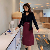 Blue Language Big Code Woman Dress Fat Sister Mm Temperament Elegant Shirt Half Body Dress Spring New Cover Slim two sets