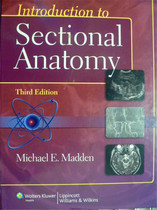 English version Introduction to Sectional Anatomy Introduction to Anatomy