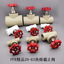 PPR lifting snap spring stop valve 4 points 6 points 1 inch white grey PPR water pipe fitting valve switch