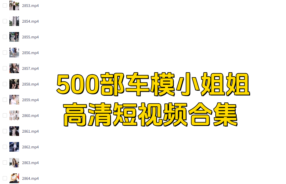 500部车模小姐姐高清短视频合集-汇创资源网-一个提供最全的虚拟资源网站