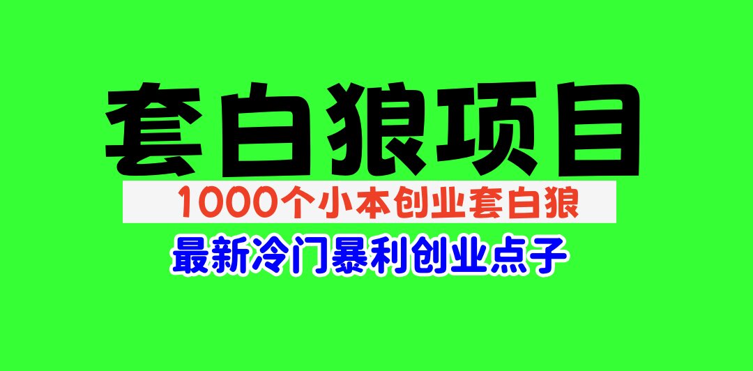 1000个冷门小本创业小项目【无水印绝密版】总有一款适合你-暗冰资源网