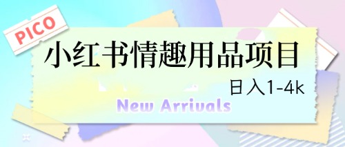 图片[1]-日入1-4k的最新小红书情趣用品项目【详细教程】-暗冰资源网