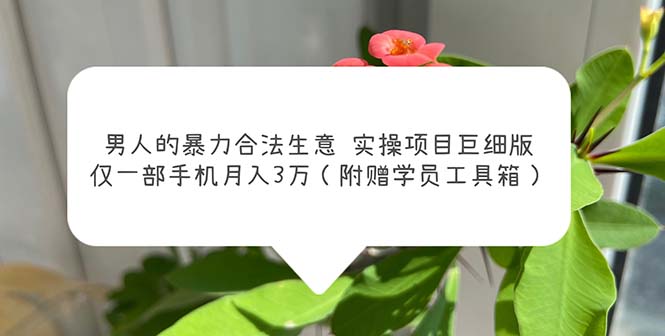 图片[1]-男人好色的暴力合法生意实操项目：长期稳定月入3w（附赠学员工具箱）-暗冰资源网