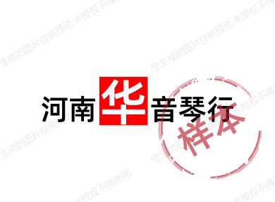 河南华音琴行