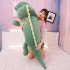 可爱恐龙毛绒玩具熊公仔床上陪你睡觉抱枕布娃娃玩偶女孩生日礼C