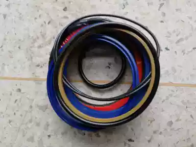 Sany crane auto parts outriggers vertical cylinder sealing oil seal