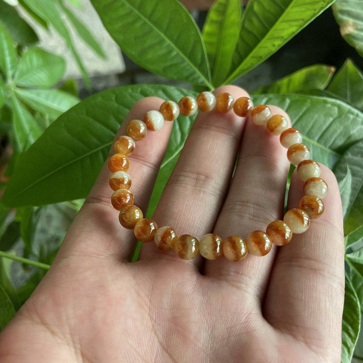 Shancheng Jadeite A cargo jadeite yellow gold bracelet transfer hand Jade beads refining jadeite long string jadeite beads