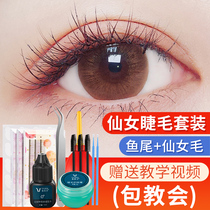 Grafting eyelash tool package beauty eyelashes special open eyes own eyelashes full set of natural simulation fairy false eyelashes