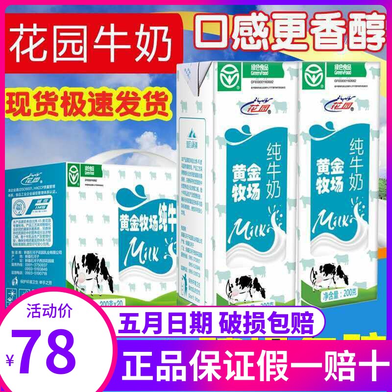 Xinjiang Milk Garden Gold Ranch Pure Milk Official Flagship Store Breakfast Milk 200g * 20 boxed whole box
