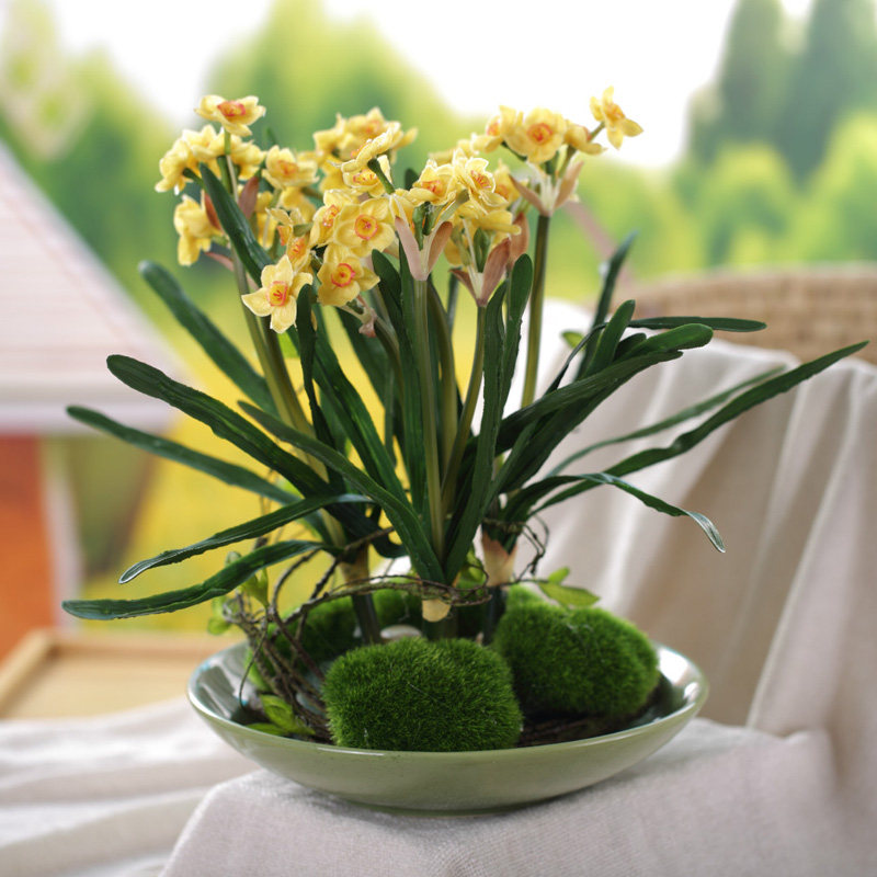 ����õ������ڷŻ��������ӻ���