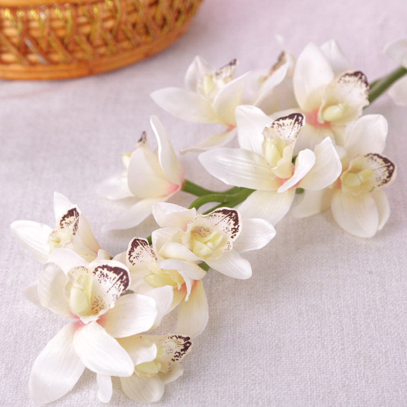 ����õ���������ٻ���