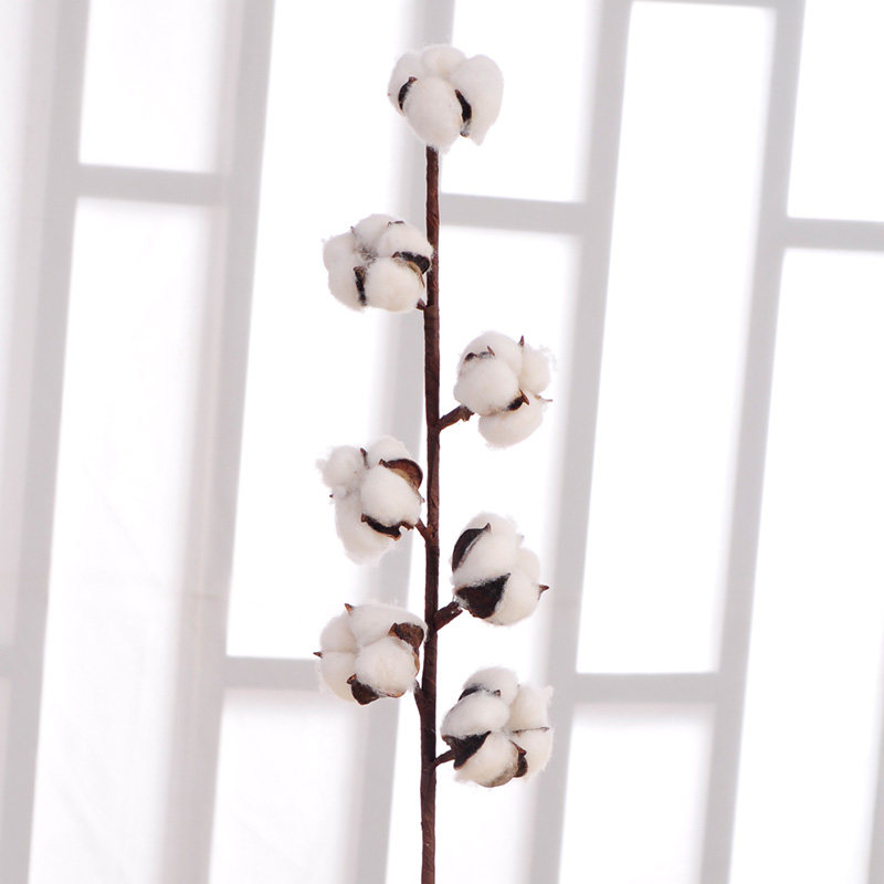 ����õ���޻��ɻ���