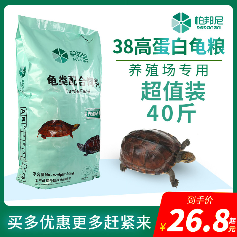 Baiboni turtle food Stone money turtle grass turtle flame Brazilian turtle Crocodile turtle turtle material Calcium turtle food Universal turtle feed